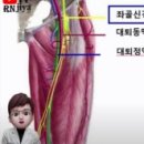 대포연대 이미지