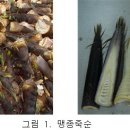 황금먹거리 이미지