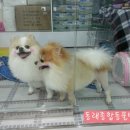 동래종합동물병원 이미지