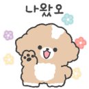 무브펫 이미지