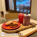 창원 가로수길 디저트 맛집 도넛 추천 솔직 후기 (컵넛 창원가로수점)