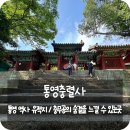 통영 가볼만한 곳 &#39;충렬사&#39; 충무공 이순신 장군의 기개를 느낄 수 있는 곳