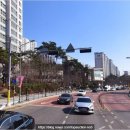 롯데3차아파트 304동 앞 | 버들치마을성복힐스테이트3차 아파트경매 용인시 수지구 성복동 경매물건 2025타경55580