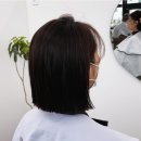 베르트본태 네이버블로그