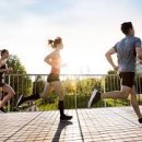 한가람 태권도장 이미지