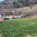 장승포농협 하나로마트 아주점 이미지