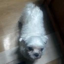 영생고등학교 이미지