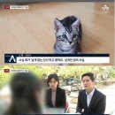 갑수C 네이버블로그