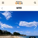투어박스여행사 이미지