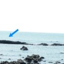 제주시민속오일시장 이미지