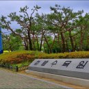 한밭수목원 동원 이미지