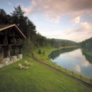 숲속골프 이미지