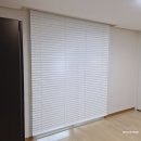 수랜드 B 이미지