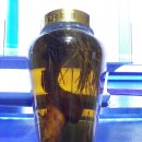 (주)솜씨 이미지