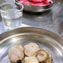 조게찜터 Daum카페