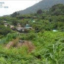 회성동103 이미지