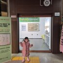 영월군 문화예술회관 | 2025/12/15(+2745 &amp; +1485) - [영월] 영월유치원, 쌍룡초등학교, 영월문화예술회관, 와이카페