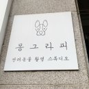 매일매일 챌린지 몽그라피 반려동물 스튜디오 _후기