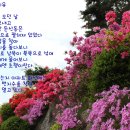 나무의집
