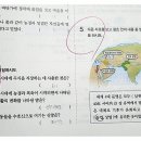 중학내신대비세계사 이미지