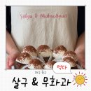 대구 경대병원역 케이크 맛집 살구 2호점 무화과 후기