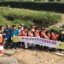 수원시 장안구 수원천 경기중앙신문