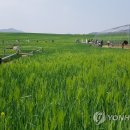 휘성농장 이미지