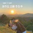 멘션에스 민박 | 낭만이 두 배! 연인과 함께 가기 좋은, 제주도 오름 추천