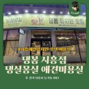장현유치원 | 시흥 애견유치원 추천｜댕봄 시흥점 유치원 &amp; 댕실몽실 미용 내돈내산 후기