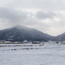 오서산사슴목장 이미지