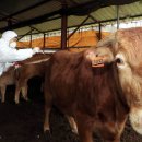 유수정농장 이미지