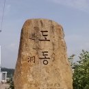 오동