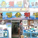 일촌횟집