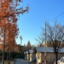 화랑유원지 관리동 화장실 이미지