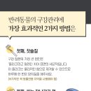 운정힐링 동물병원 이미지