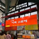 수제고로케 | 강릉 중앙시장ㅣ중앙시장 맛집 추천. 먹거리 후기(수제어묵고로케, 배니닭강정, 도마횟집본점)