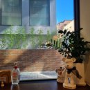 사평대로55길 114 | 신논현 카페 수제 젤라또가 맛있는 젤라또먼트 솔직 후기