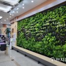 횡성군청 민원실 이미지