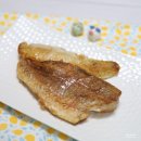 어류도감 이미지