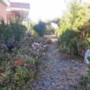 고성버드리민박 이미지