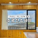 제주도 우도 숙소 오션뷰 펜션 수평선스테이 4명 숙박 후기