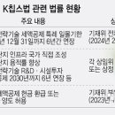 美·日 수십조 보조금 쏟아낼때…K칩스법·한국판 IRA 폐기 수순 이미지