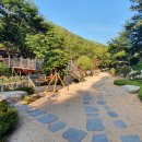 숲속캠핑장 이미지