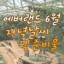 6월 에버랜드 저녁 날씨 / 준비물 / 불꽃놀이 정보 / 워터버스터 / 에버랜드 발렛