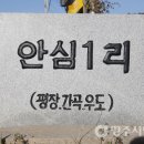 안심1리 이미지
