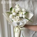 꽃;한양플라워