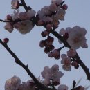 오륙도중학교 이미지