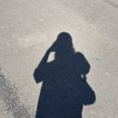 모노트리 | 목줄 하나 없이 나는 질질 끌려다녔다