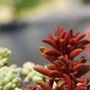 김재성농장 이미지