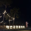 청라키즈짐 | 청라 해변공원 캠핑장 애견동반 바베큐존 후기 | 예약 주차 준비물 시설